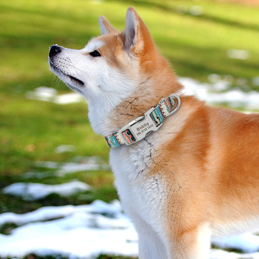 Personalized Dog Accessories Collar